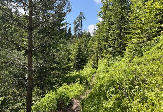 22-05-29 13-07-36 0972